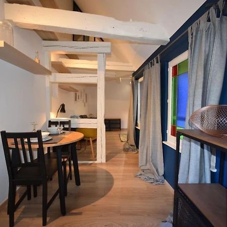 Le Studio Du Quai Des Pecheurs - Charmant Duplex Sur Les Quais Страсбург Экстерьер фото