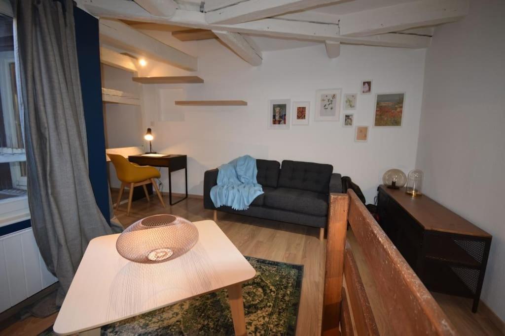 Le Studio Du Quai Des Pecheurs - Charmant Duplex Sur Les Quais Страсбург Экстерьер фото