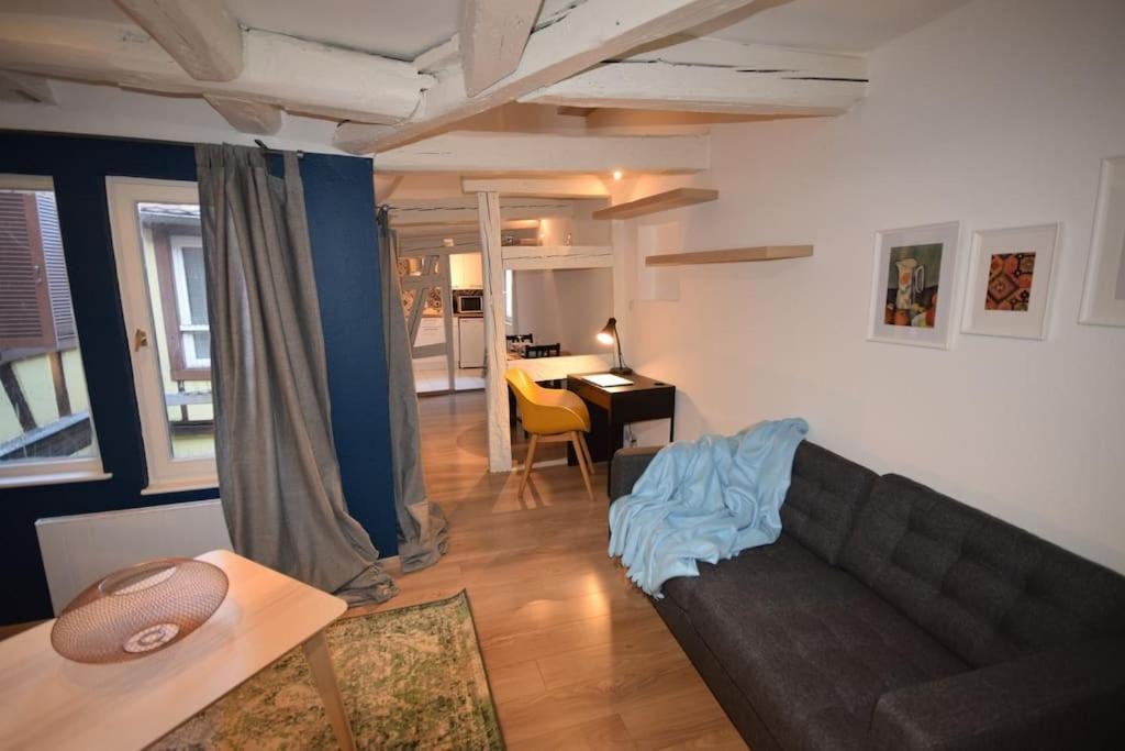 Le Studio Du Quai Des Pecheurs - Charmant Duplex Sur Les Quais Страсбург Экстерьер фото
